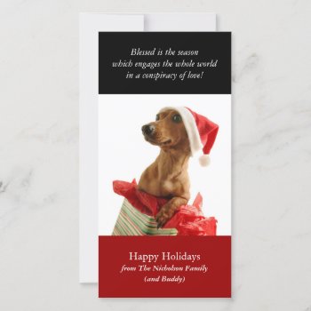 Holiday Puppy Photo Card by lifethroughalens at Zazzle