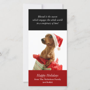 Holiday Puppy Photo Card