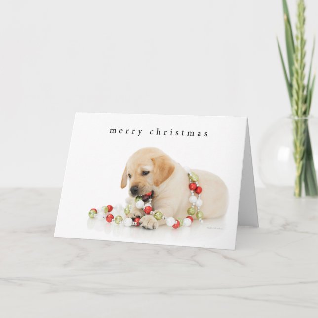 Holiday Puppy Playtime Card (Front)