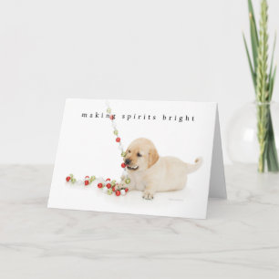 Holiday Puppy Playtime Card