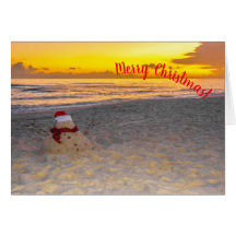 Holiday Sandman on the beach