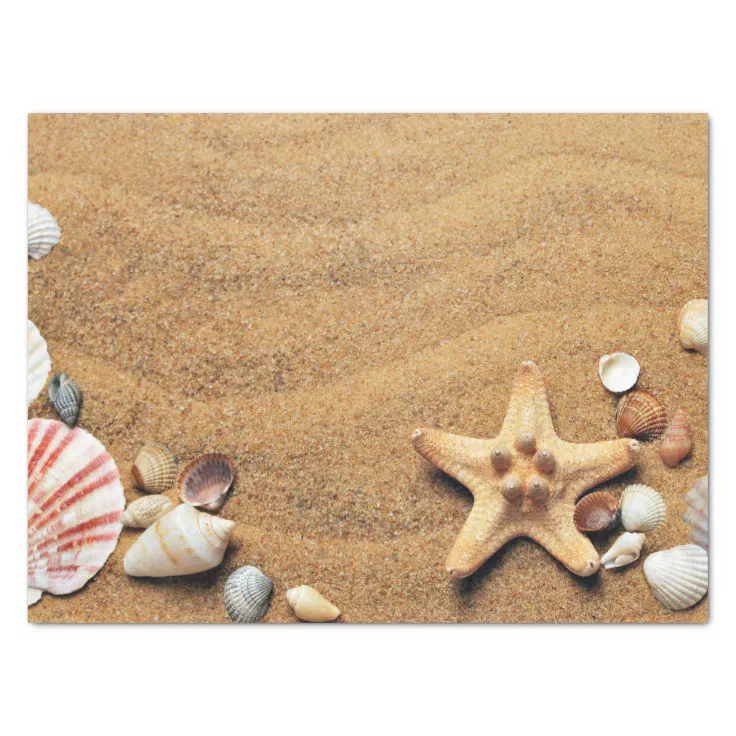 Holiday Seashells Beach Tissue Paper Zazzle