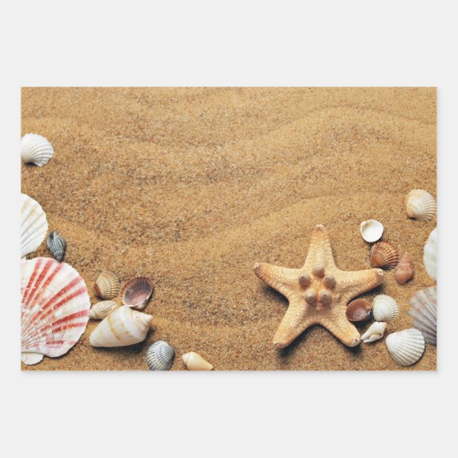 Holiday Seashells Beach Wrapping Paper Sheets (Front)
