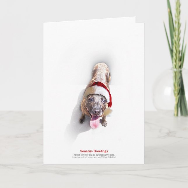 Holiday Shelter Dog 2 Card (Front)
