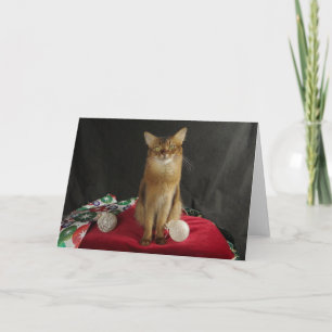 Holiday Somali Cat, featuring Summer Samba Card