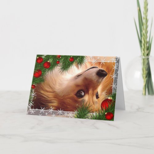 Holiday Welsh Corgi Fluff with Red Bulbs