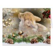 Holiday Welsh Corgi Puppy (Front Horizontal)