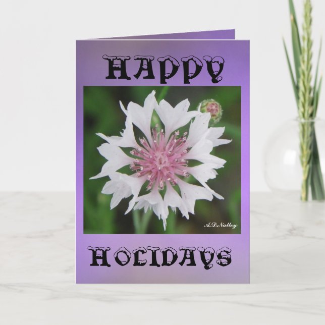 Holiday Wishes Card (Front)