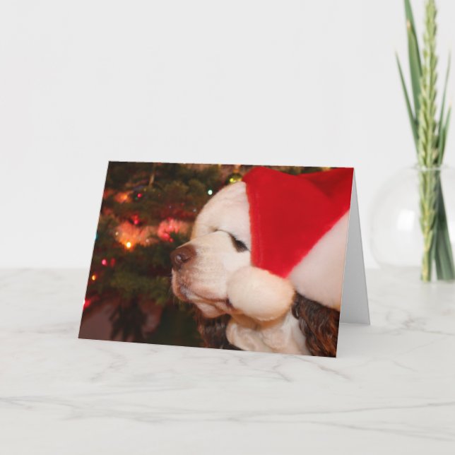 Holiday Wishes Card (Front)