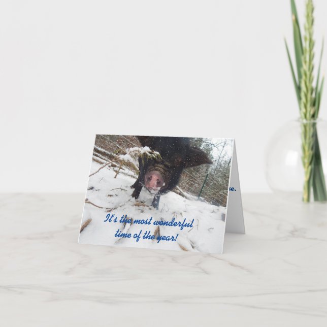 Holiday Wishes, Pig Christmas Card (Front)