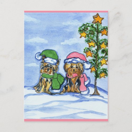 Holiday Yorkshire Terriers