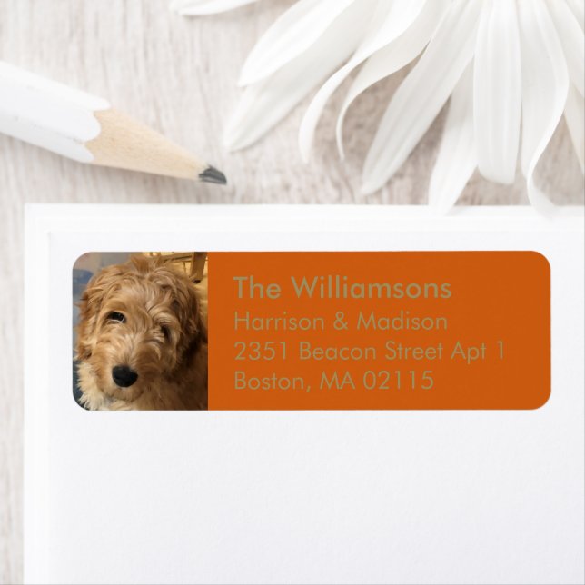 Holidays Custom family photo gold pumpkin spice Label (Insitu)