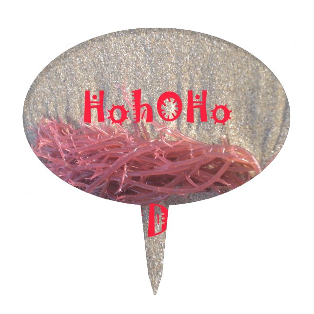 Holidays from the Beach Collection. Cake Topper (Front)