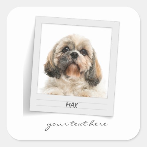 Holidays Pet Birthday Photo Frame Personalized Square Sticker