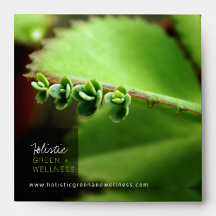Holistic Green Baby Succulents Plant Texture Photo Envelope