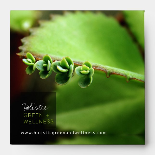 Holistic Green Baby Succulents Plant Texture Photo Envelope (Front)
