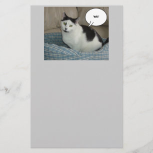 Holla Cat Humor Stationery