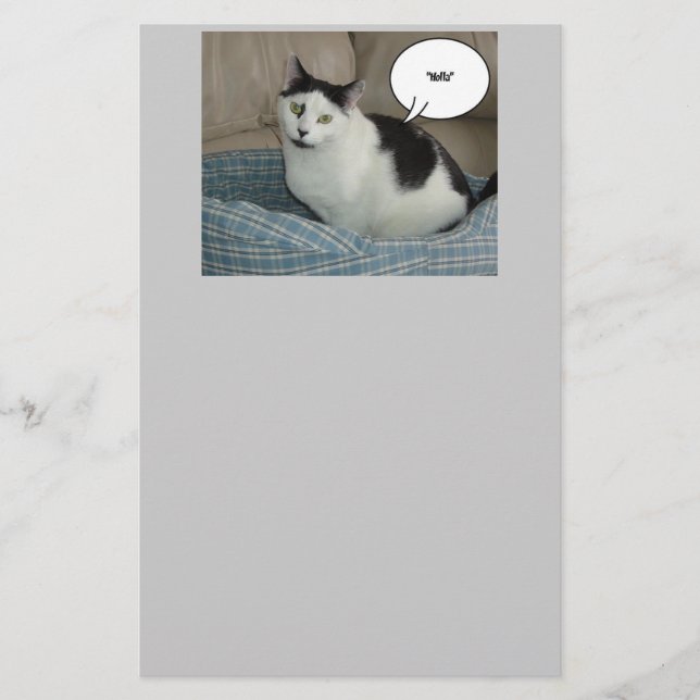 Holla Cat Humor Stationery (Front)