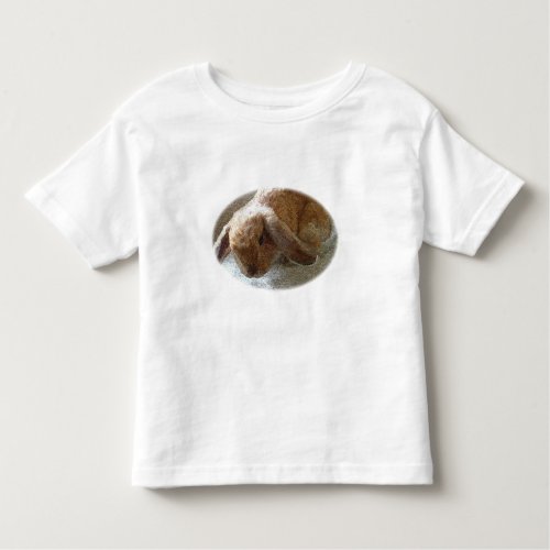 Holland Lop Eared Rabbit Shirts