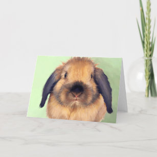 Holland Lop Holiday Card