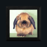 Holland Lop Jewelry Box<br><div class="desc">The design for this product is based on a painting by ©EnzieShahmiri.com</div>