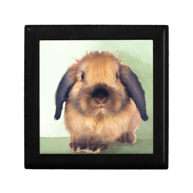 Holland Lop Jewelry Box (Front)