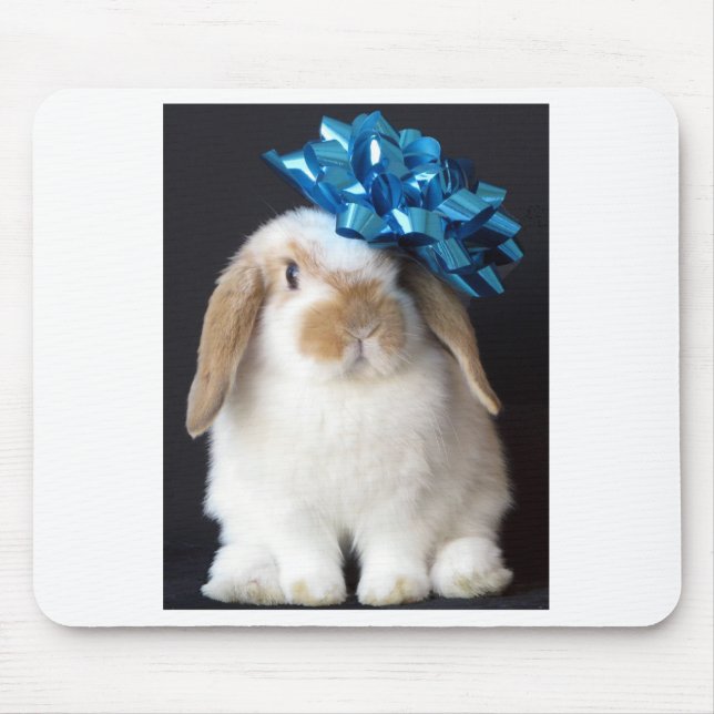 Holland Lop Mousepad (Front)