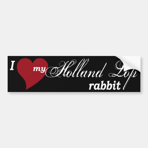 Holland Lop rabbit Bumper Sticker