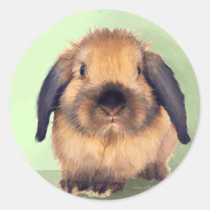 Holland Lop Rabbit Classic Round Sticker