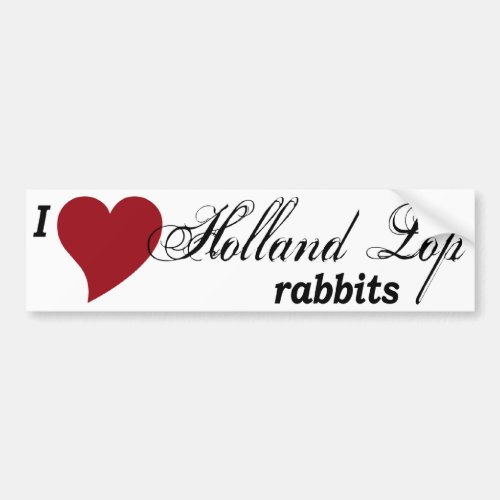 Holland Lop rabbits Bumper Sticker