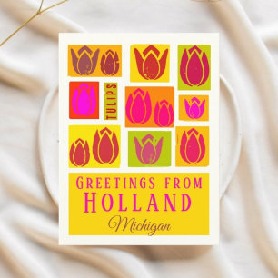 Holland Michigan USA Tulips Postcard