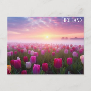 Holland Netherlands Dutch Tulips Travel Photo Postcard