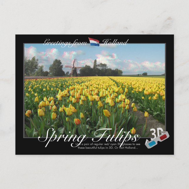 Holland Spring Tulips Landscape 3D Anaglyph Postcard (Front)