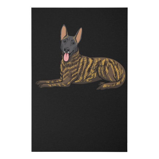 Hollandse Herdershond Dutch Shepherd Dog Faux Canvas Print (Front)