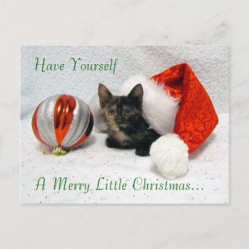 Holley's Christmas Postcard - Cat / Kitten