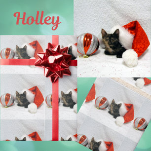 Holley's Christmas - Torti Cat Christmas Wrapping Paper
