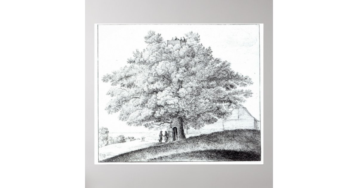 Hollow Tree at Hampstead, 1663 Poster | Zazzle