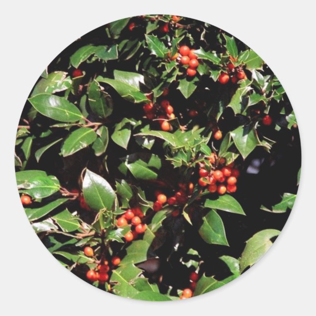 Holly and Berries Stickers (Front)