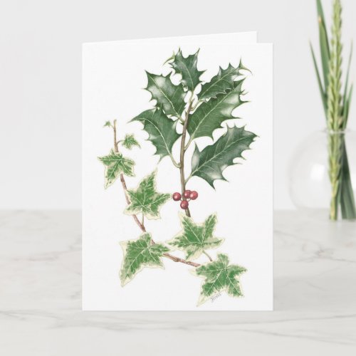 Holly and Ivy Sprigs in Botanical Christmas Card