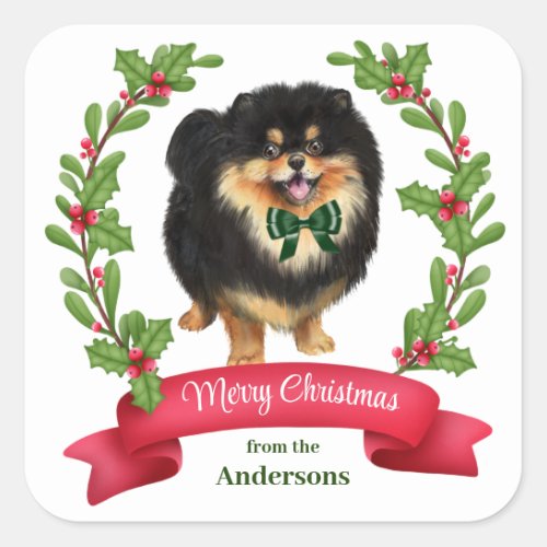 Holly Banner Black Tan Pomeranian Christmas Square Sticker