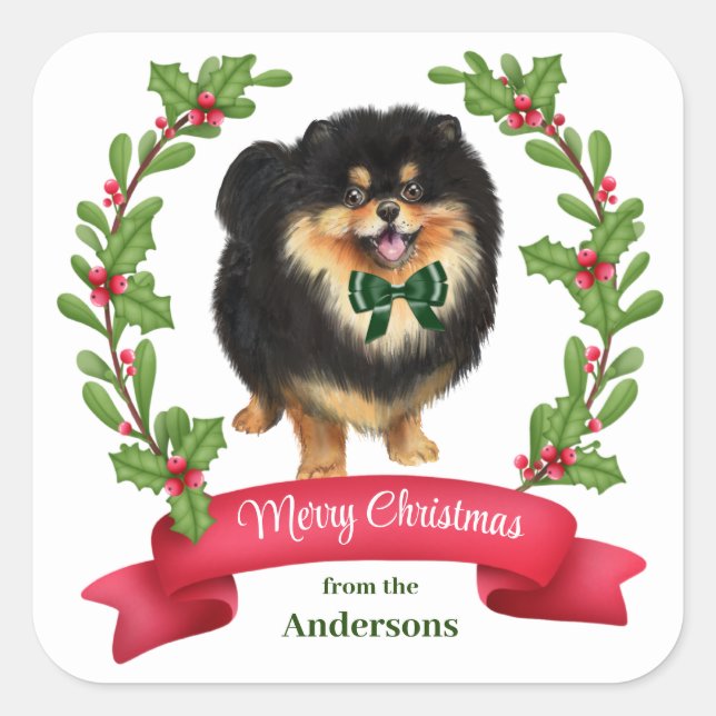 Holly Banner Black Tan Pomeranian Christmas Square Sticker (Front)
