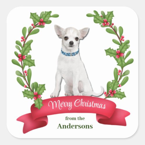 Holly Banner White Chihuahua Dog Christmas Square Sticker