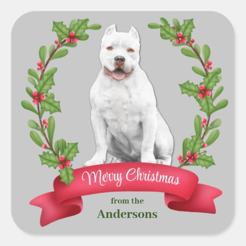 Holly Banner White Pit Bull Dog Christmas Square Sticker