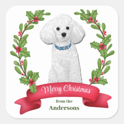 Holly Banner White Poodle Christmas Square Sticker