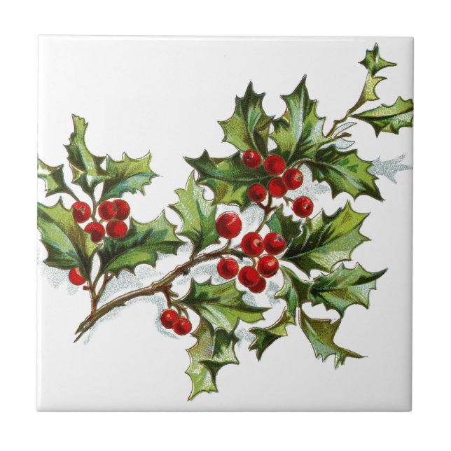 Holly Berries 001 Ceramic Tile (Front)