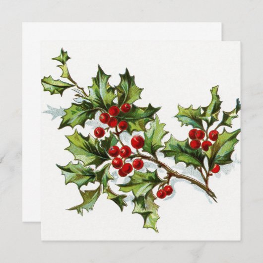 Holly Berries 002 (Front/Back)