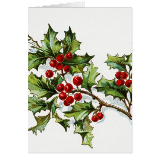 Holly Berries 002 Cards (Front)