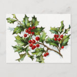 Holly Berries 002 Postcard