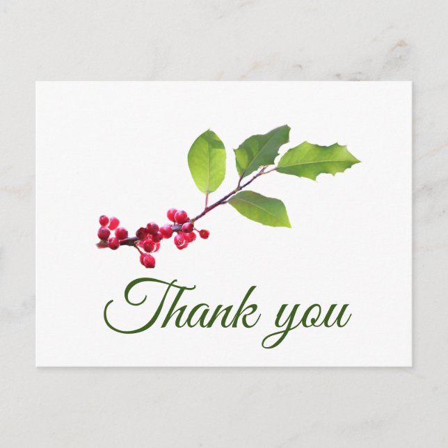 Holly berries branch with foilage thank you postcard (Front)