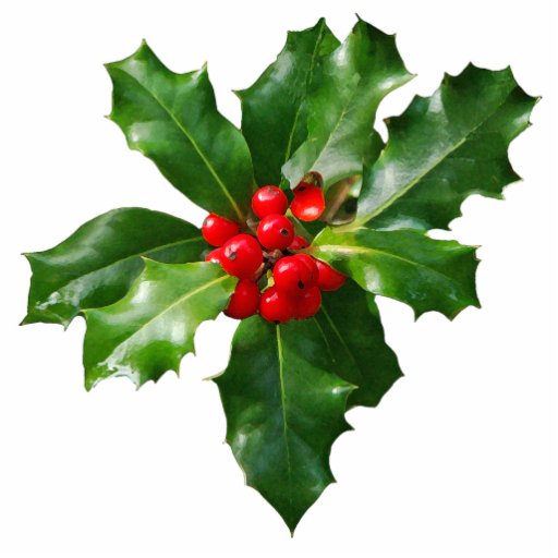 Holly Berries Christmas Photo Sculpture | Zazzle